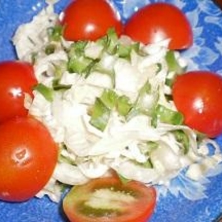 ミニトマトと四角豆のコールスローサラダ